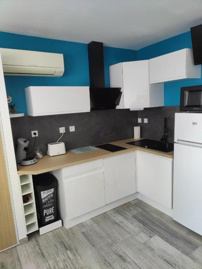 Studio Climatise 50 M.Du Port Saint-Cyprien  Exterior foto